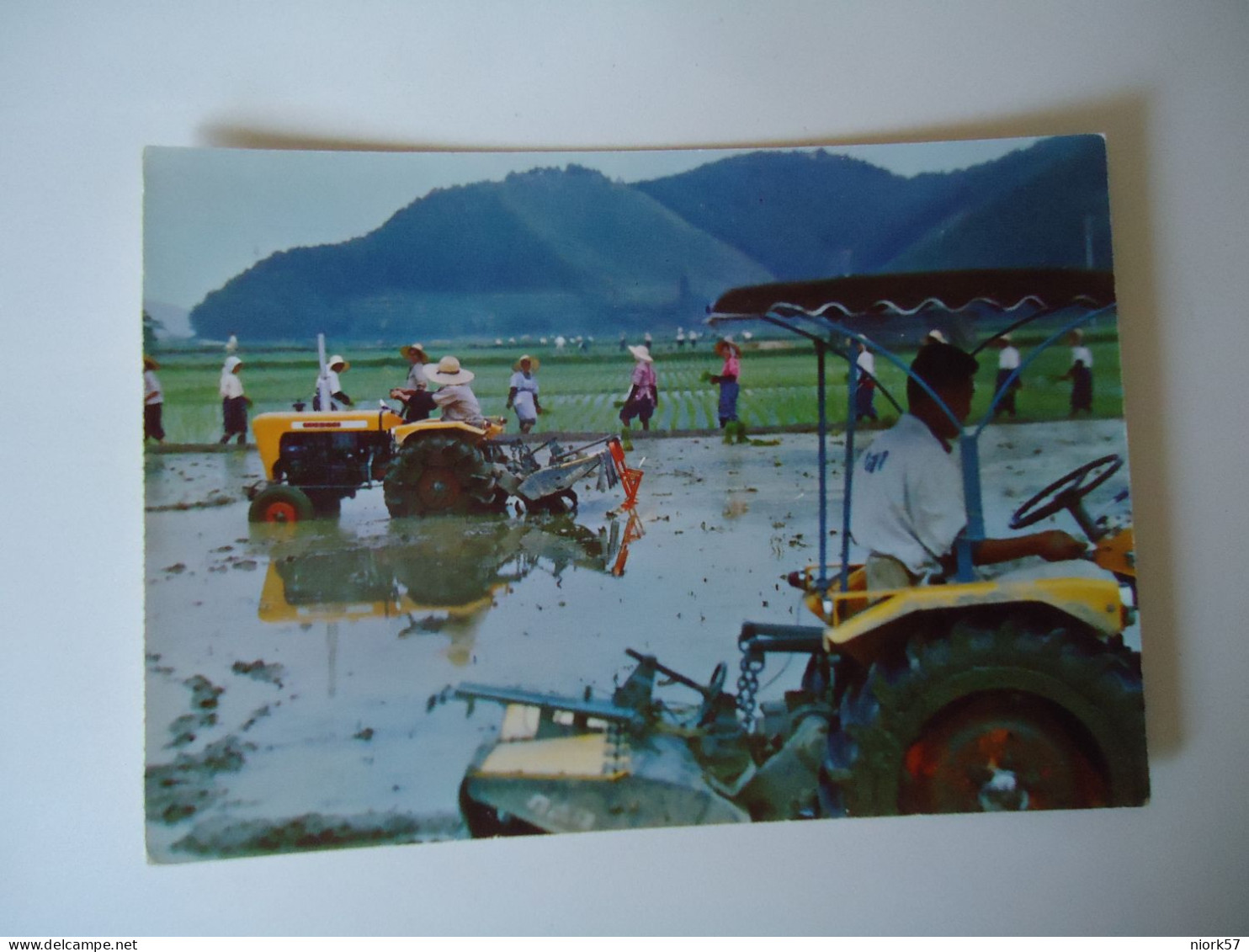 JAPAN  POSTCARD TRACTER IN FARMS     FOR MORE PURHASES 10% DISCOUNT - Other & Unclassified