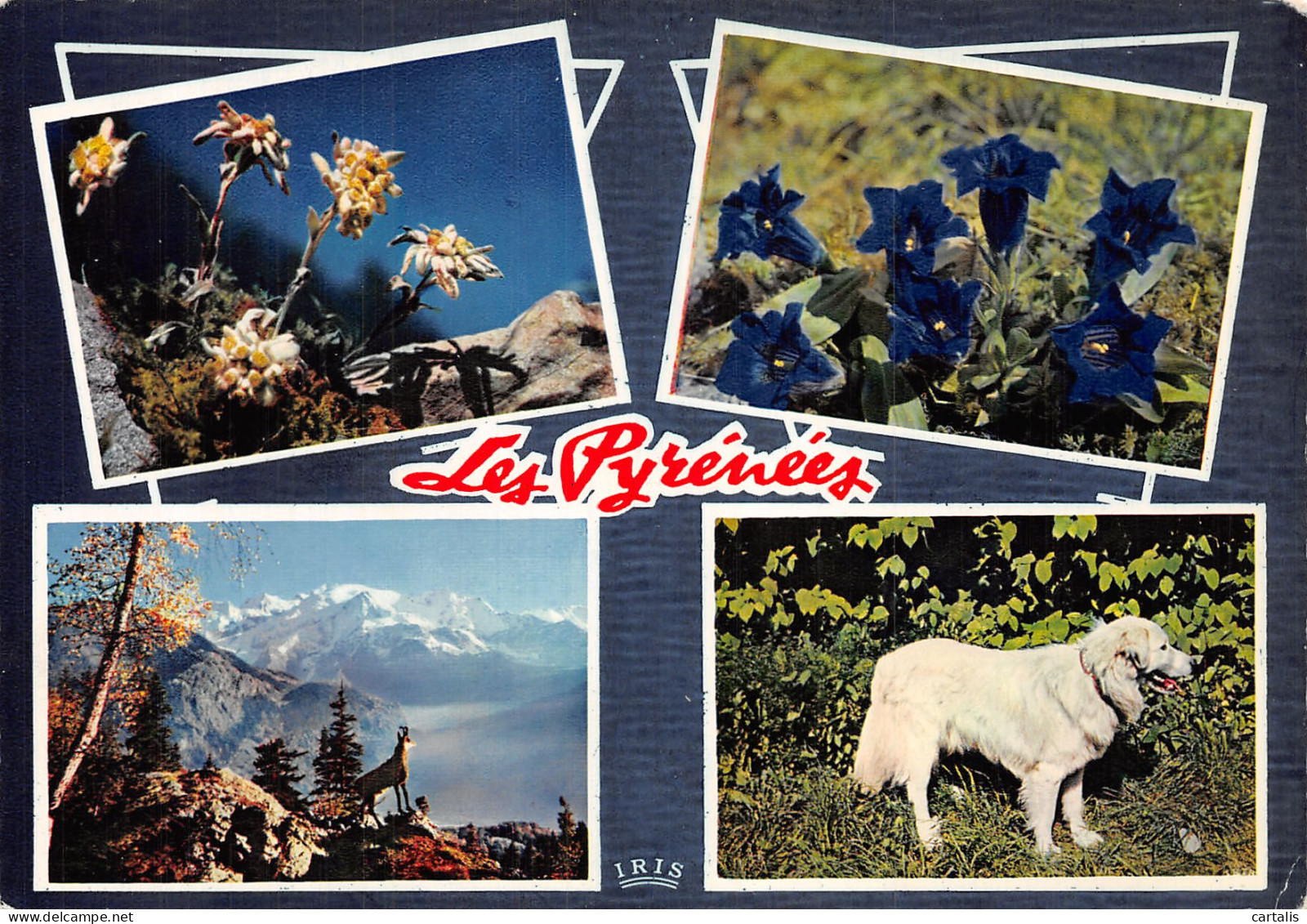 65-LES PYRENEES-N° 4427-A/0219 - Other & Unclassified
