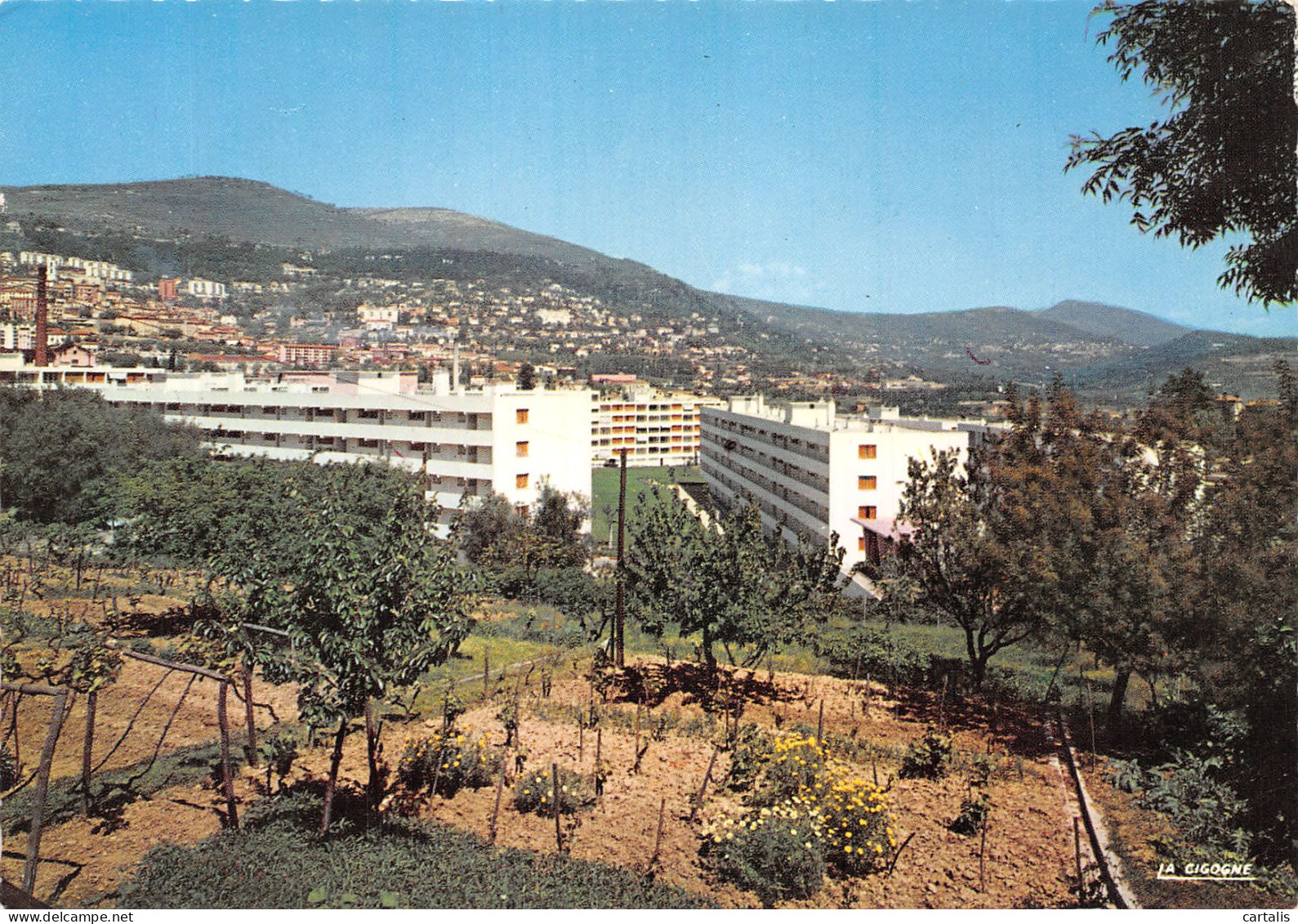 06-GRASSE-N° 4427-A/0141 - Grasse