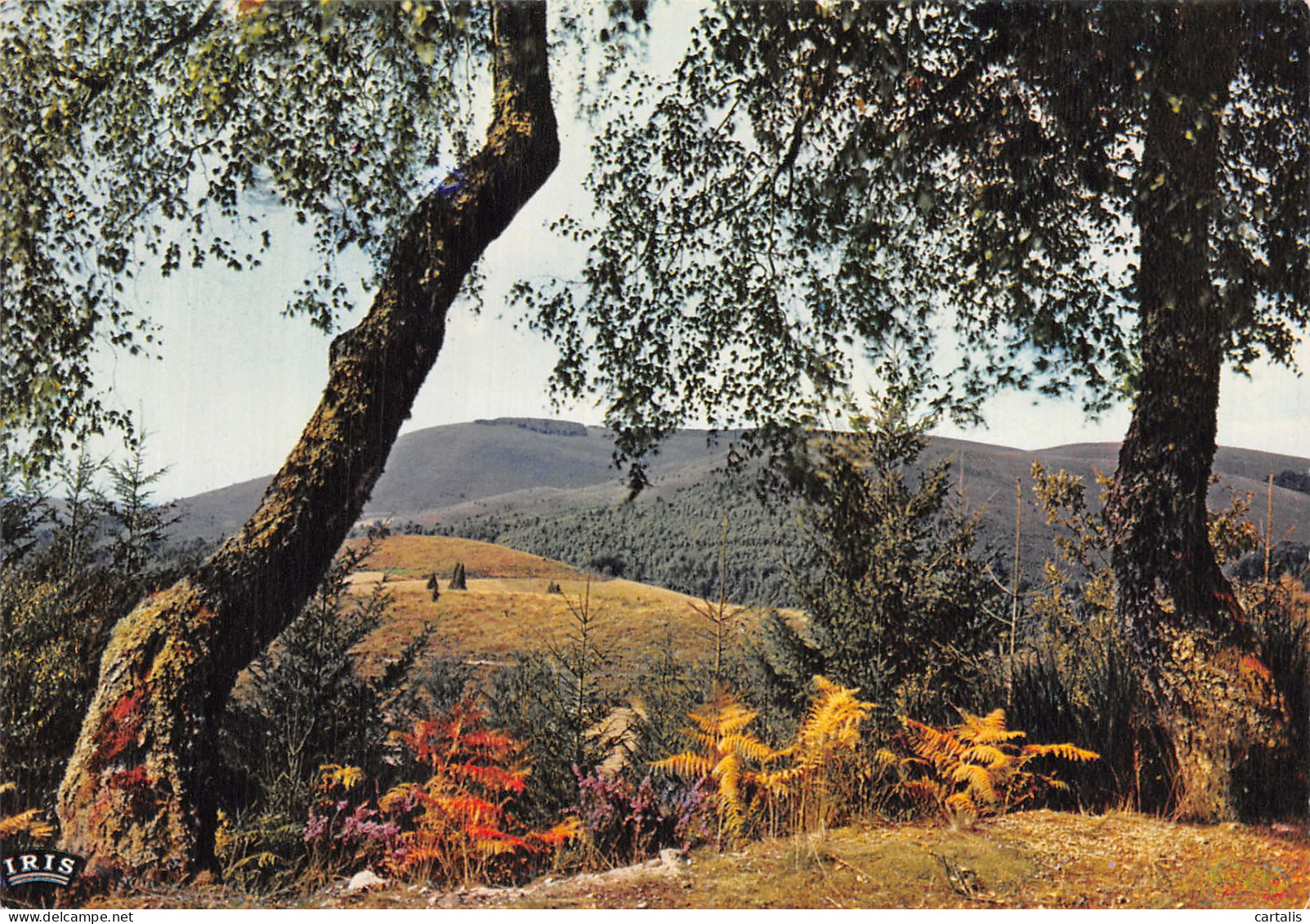 19-LE MASSIF DES MONEDIERES-N° 4426-D/0399 - Autres & Non Classés