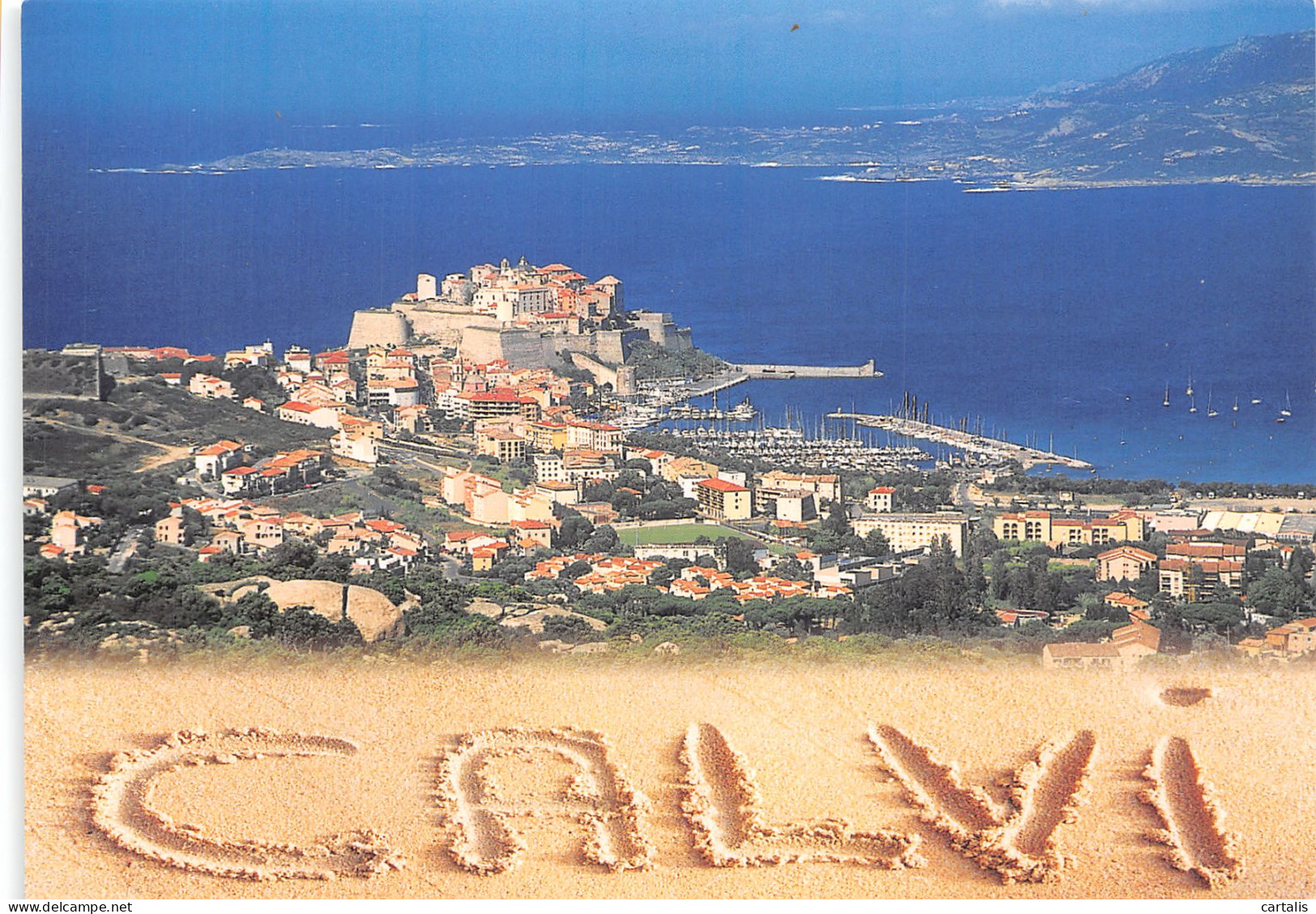 2B-CALVI-N° 4426-D/0339 - Calvi