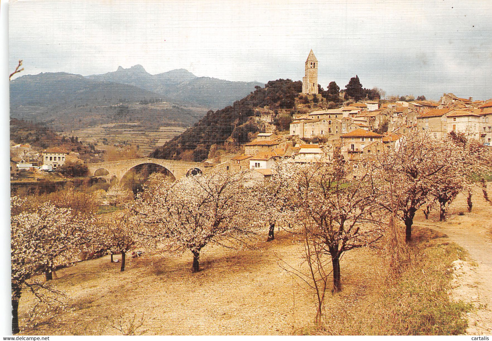 34-OLARGUES-N° 4426-D/0229 - Other & Unclassified