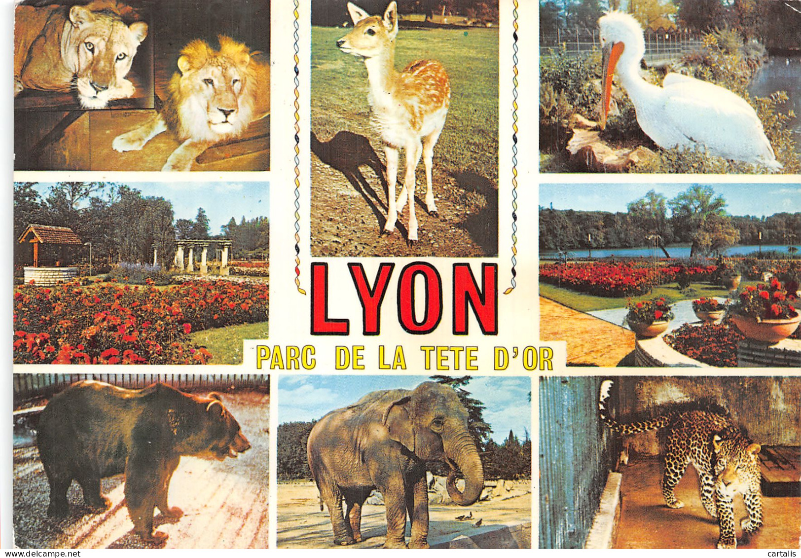 69-LYON-N° 4426-D/0199 - Other & Unclassified