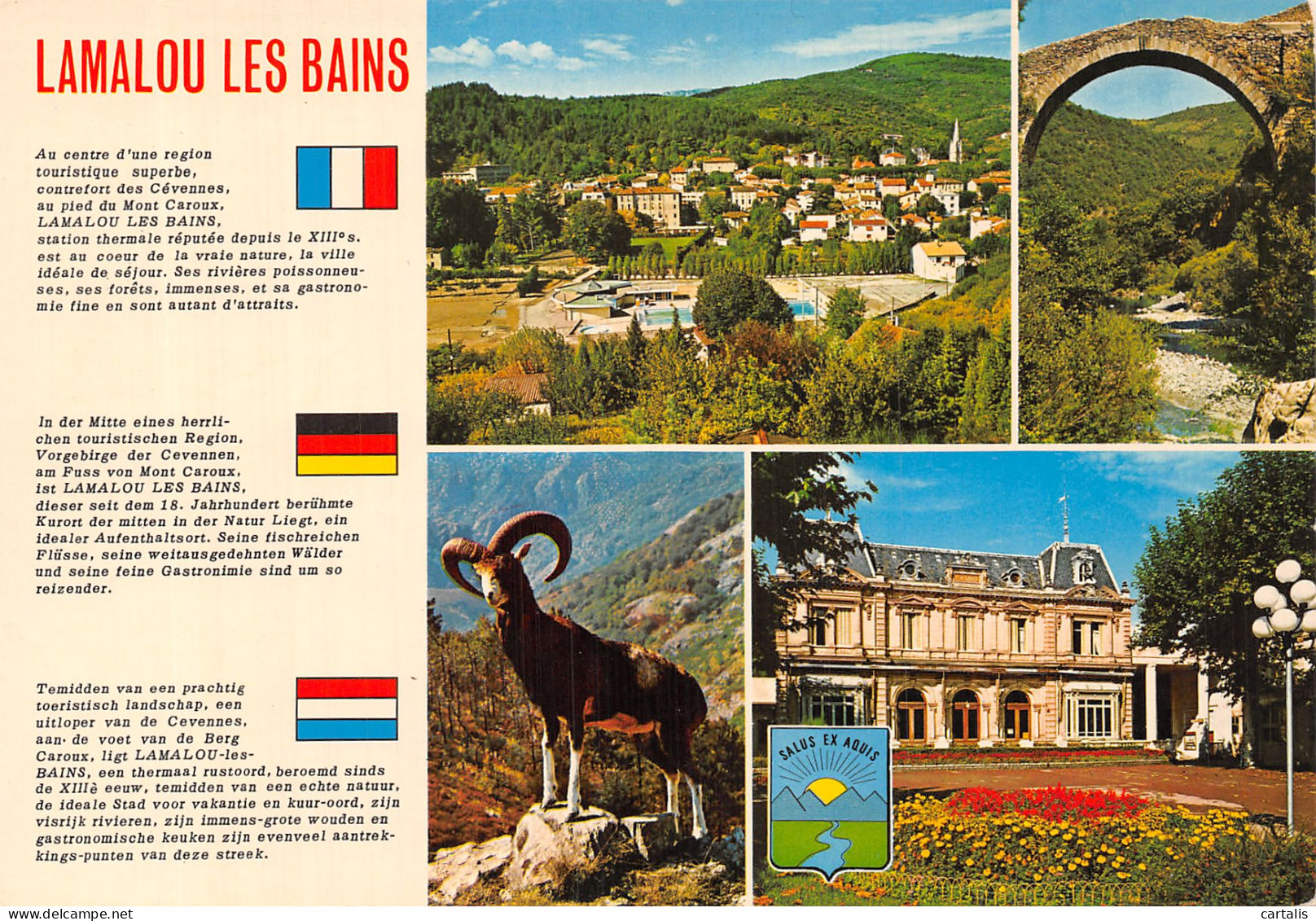 34-LAMALOU LES BAINS-N° 4426-D/0009 - Lamalou Les Bains