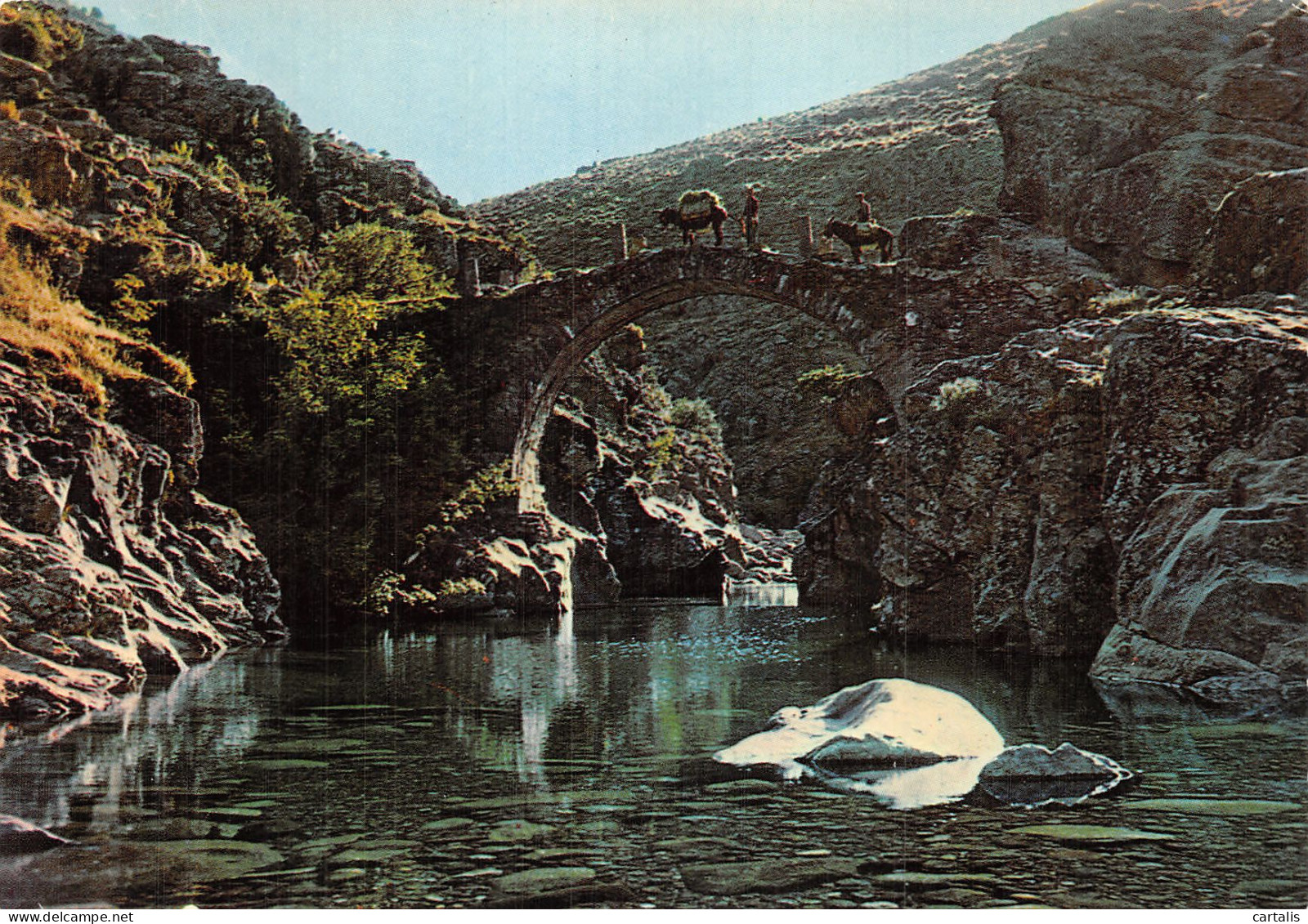 20-ASCO LE PONT GENOIS-N° 4426-C/0139 - Autres & Non Classés