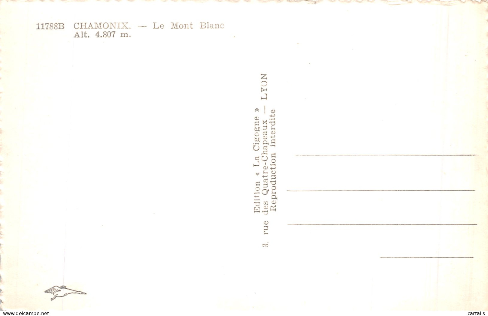 74-CHAMONIX-N° 4428-B/0045 - Chamonix-Mont-Blanc