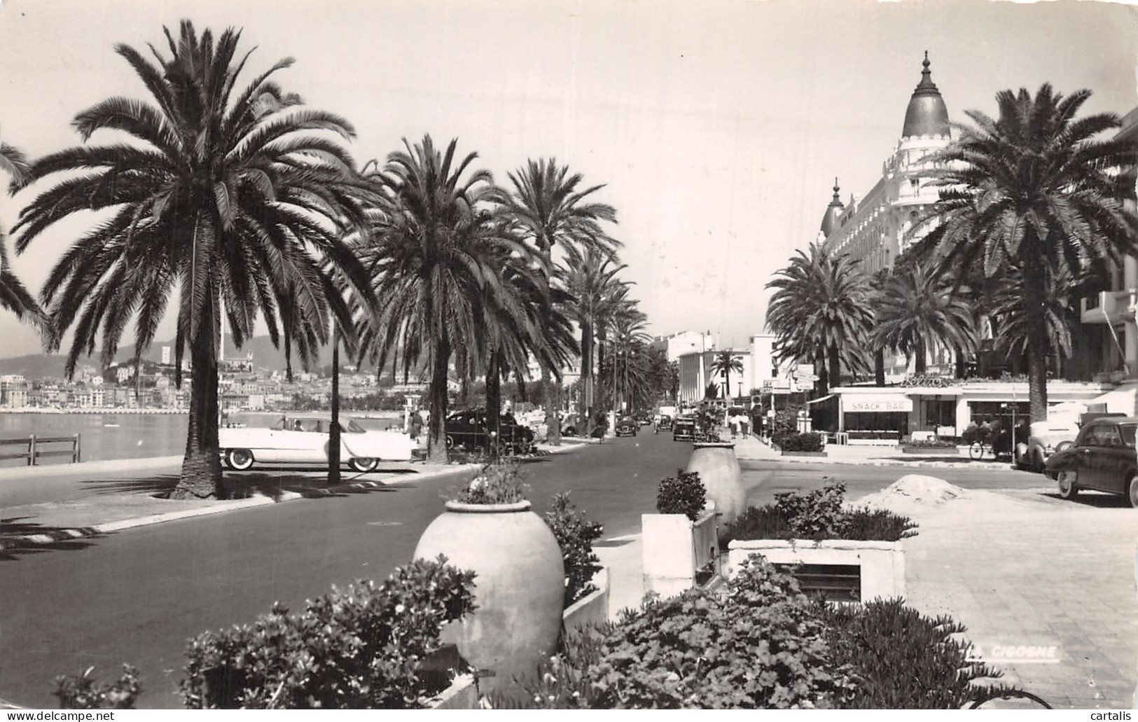 06-CANNES-N° 4428-A/0393 - Cannes