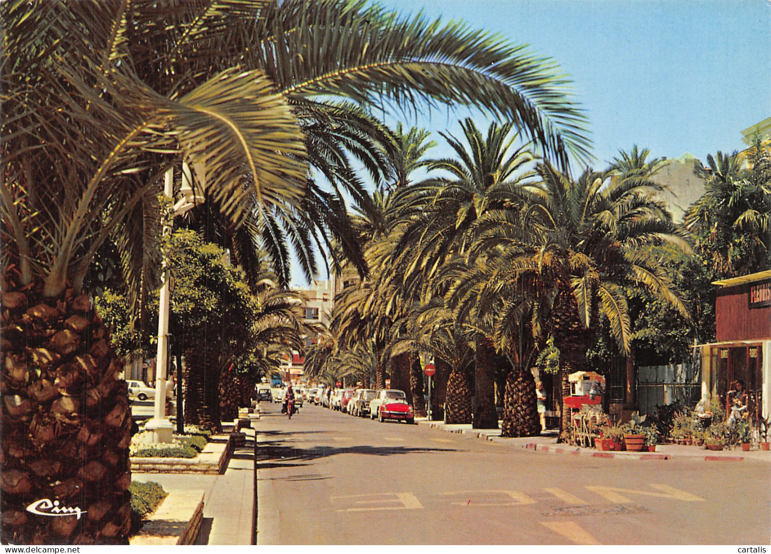 83-HYERES-N° 4427-B/0103 - Hyeres