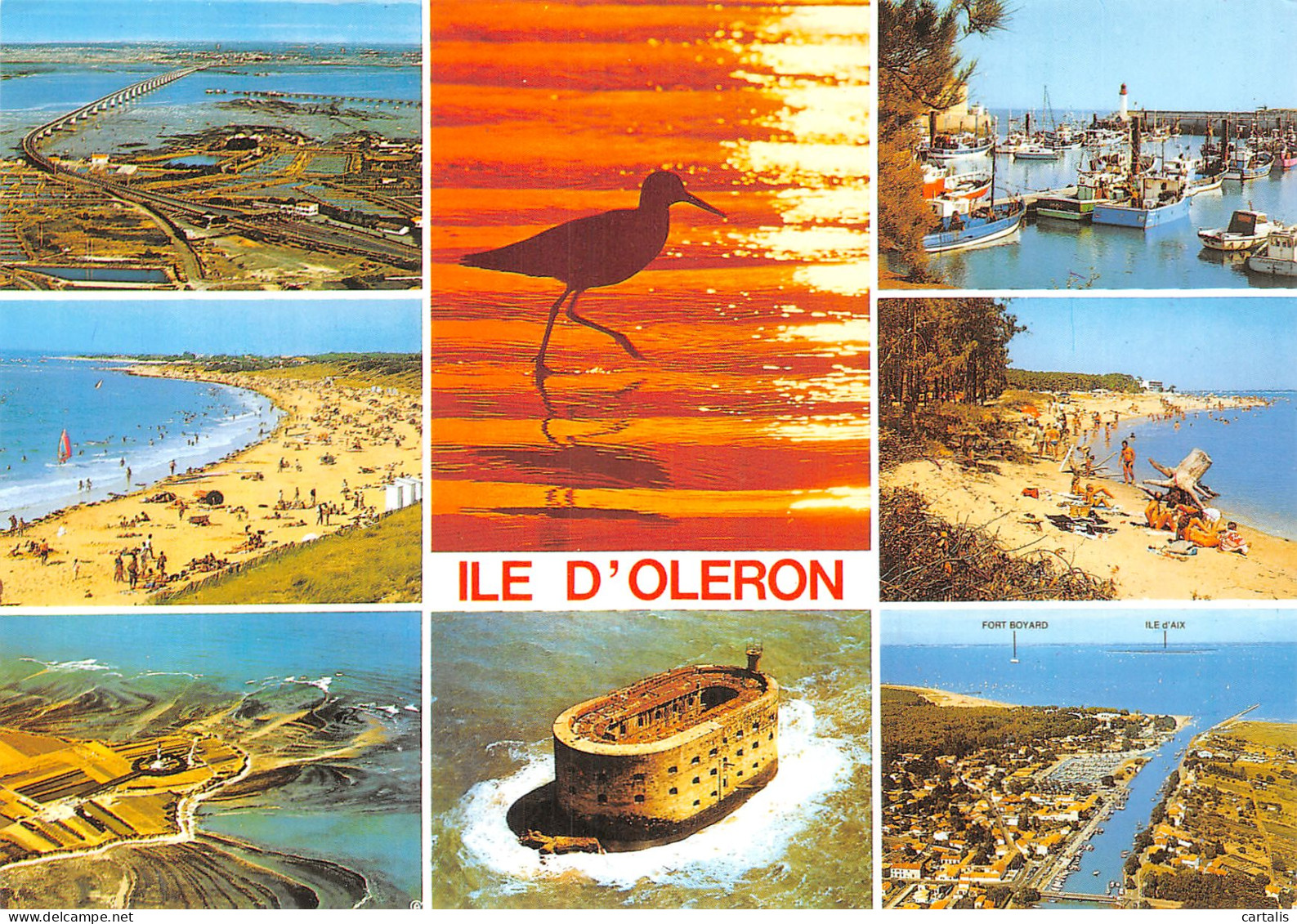 17-ILE D OLERON-N° 4427-B/0085 - Ile D'Oléron