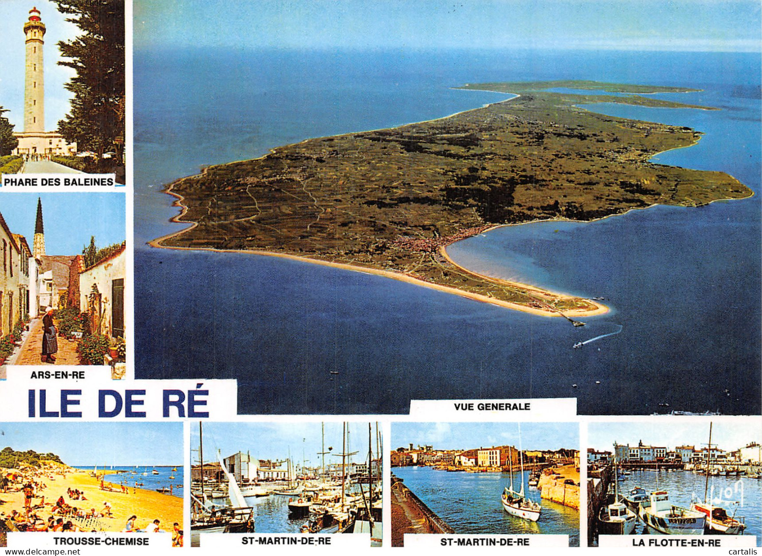 17-ILE DE RE-N° 4427-B/0047 - Ile De Ré