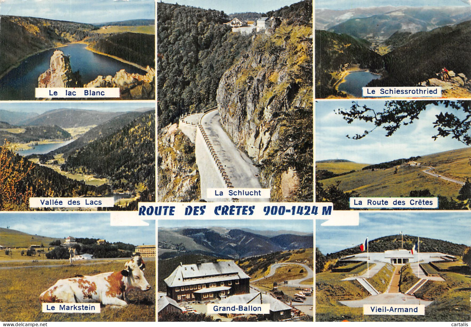 68-ROUTE DES CRETES-N° 4427-A/0347 - Other & Unclassified