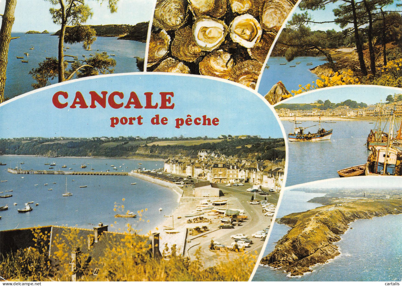 35-CANCALE-N° 4427-A/0313 - Cancale