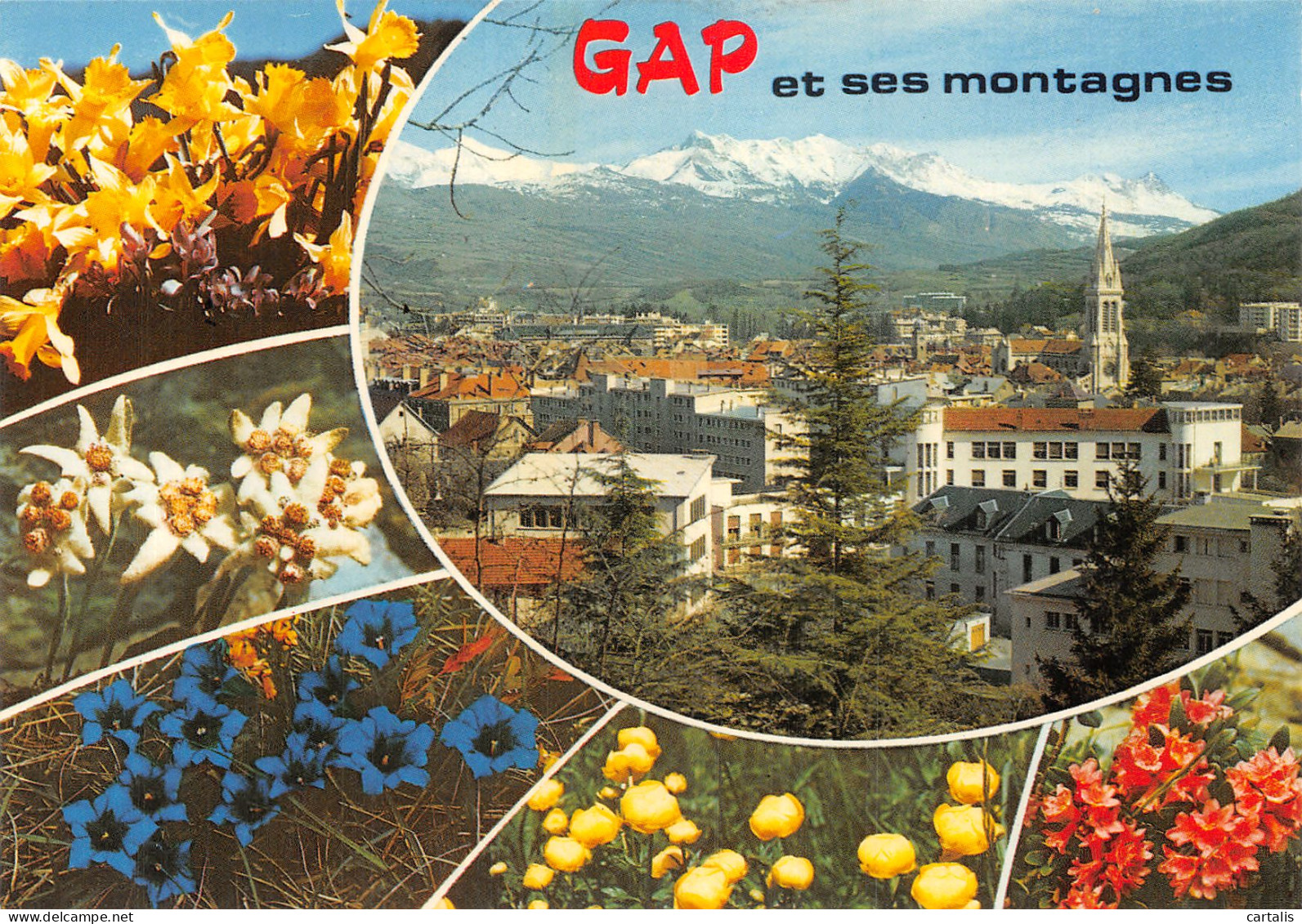 05-GAP-N° 4427-A/0301 - Gap