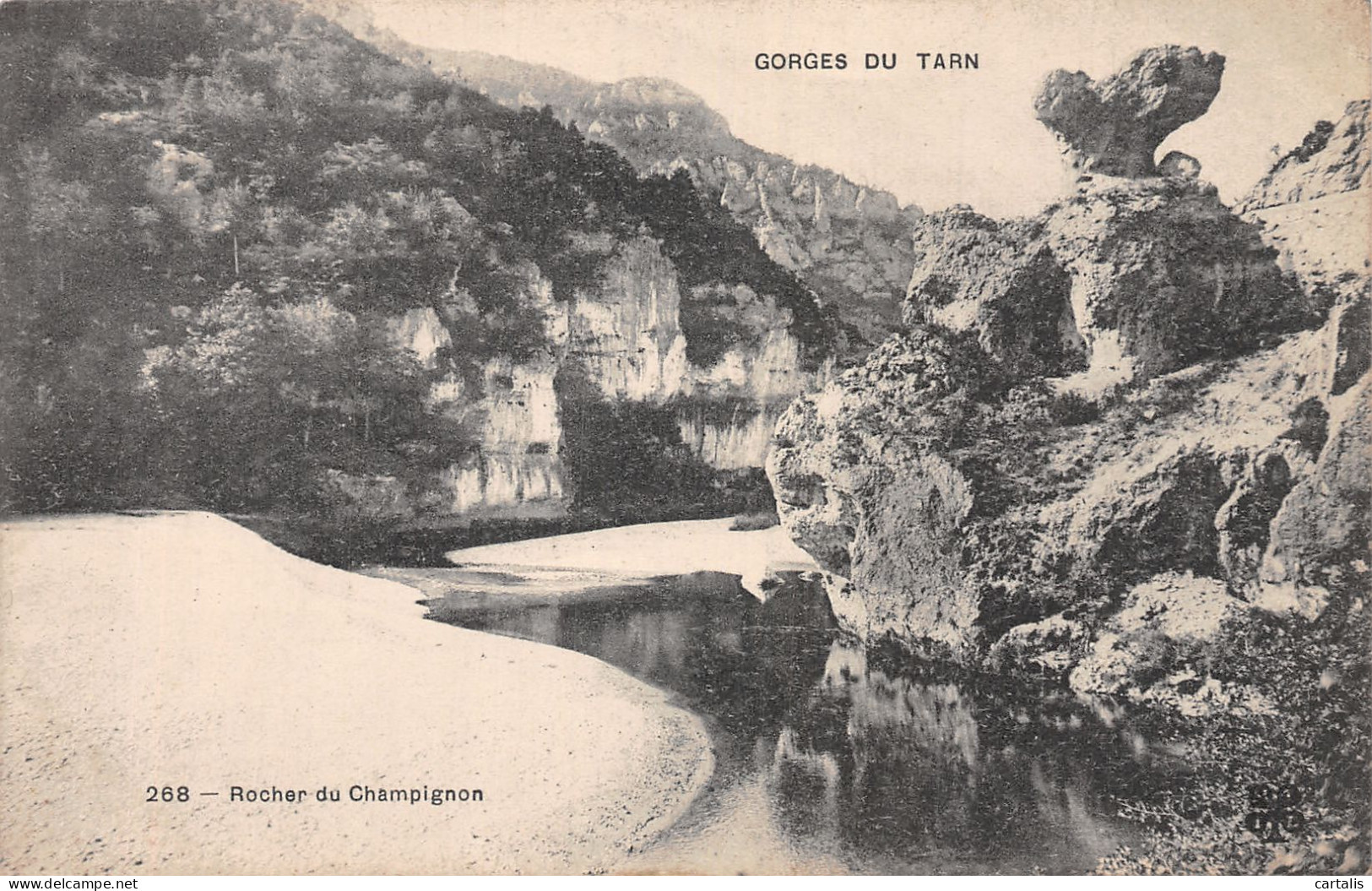 48-LES GORGES DU TARN-N° 4428-C/0383 - Other & Unclassified