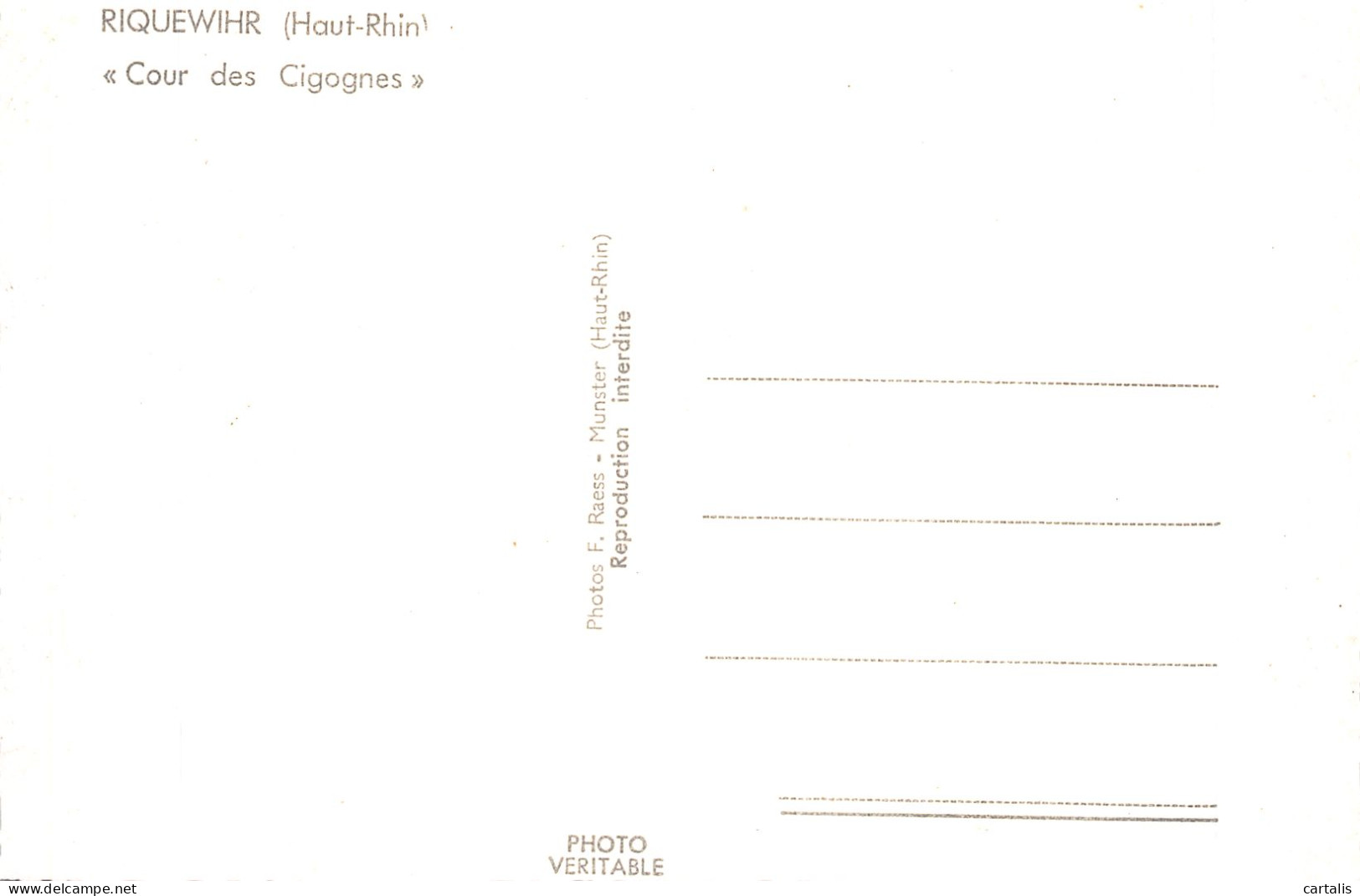 38-RIQUEWIHR-N° 4428-B/0195 - Other & Unclassified