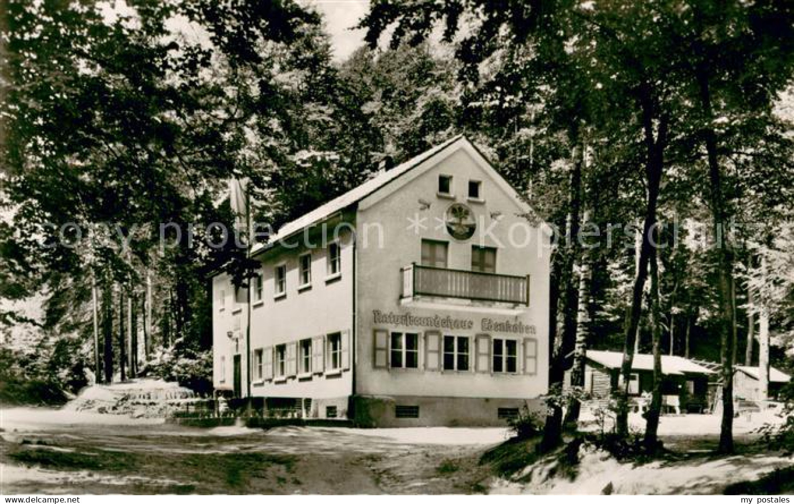 73725796 Edenkoben Naturfreundehaus Aussenansicht Edenkoben - Edenkoben