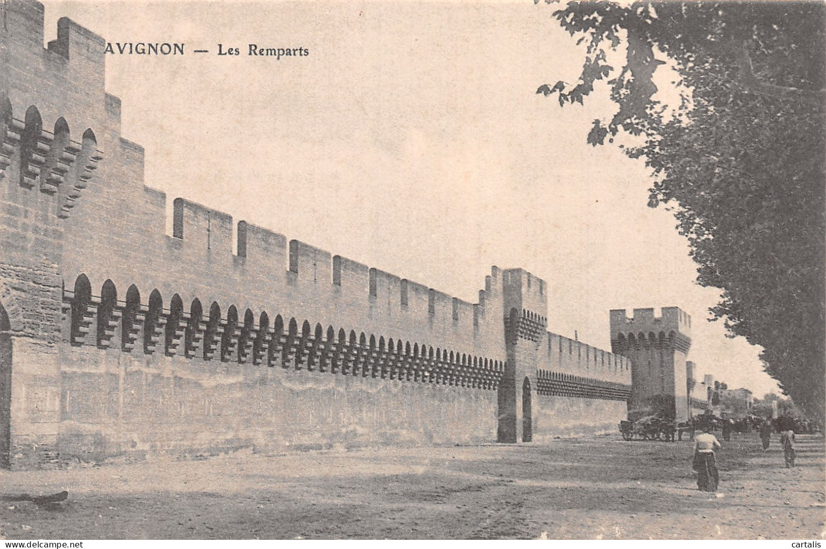 84-AVIGNON-N° 4429-C/0237 - Avignon