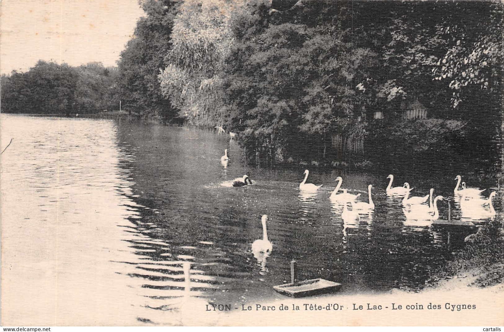 69-LYON-N° 4429-F/0129 - Andere & Zonder Classificatie