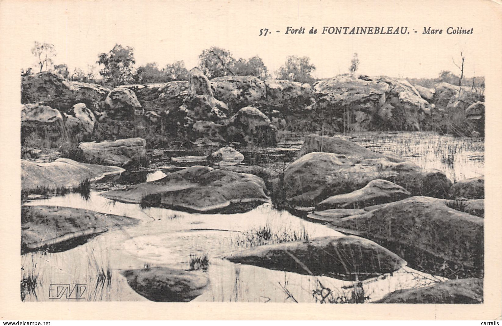 77-FONTAINEBLEAU-N° 4430-C/0063 - Fontainebleau