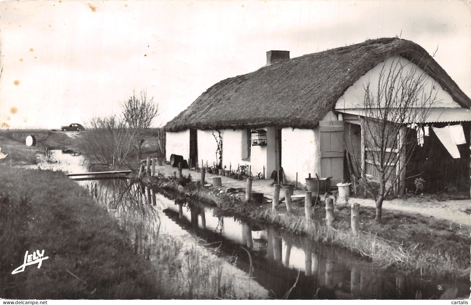 85-AU PAYS DE MONTS-N° 4430-F/0393 - Autres & Non Classés