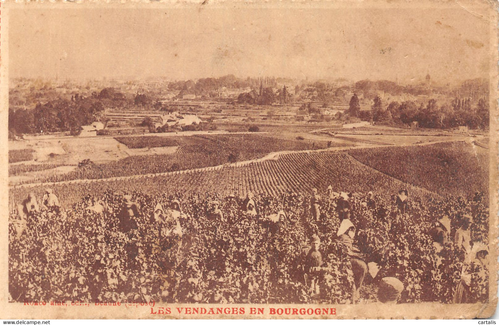 21-BOURGOGNE VENDANGES-N° 4430-D/0299 - Sonstige & Ohne Zuordnung