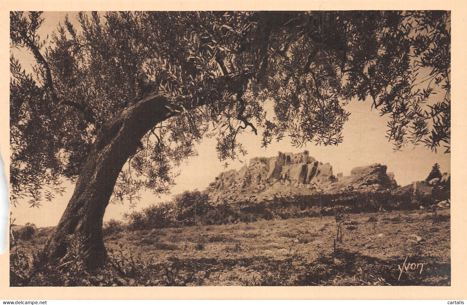 13-LES BAUX DE PROVENCE-N° 4430-G/0339 - Les-Baux-de-Provence