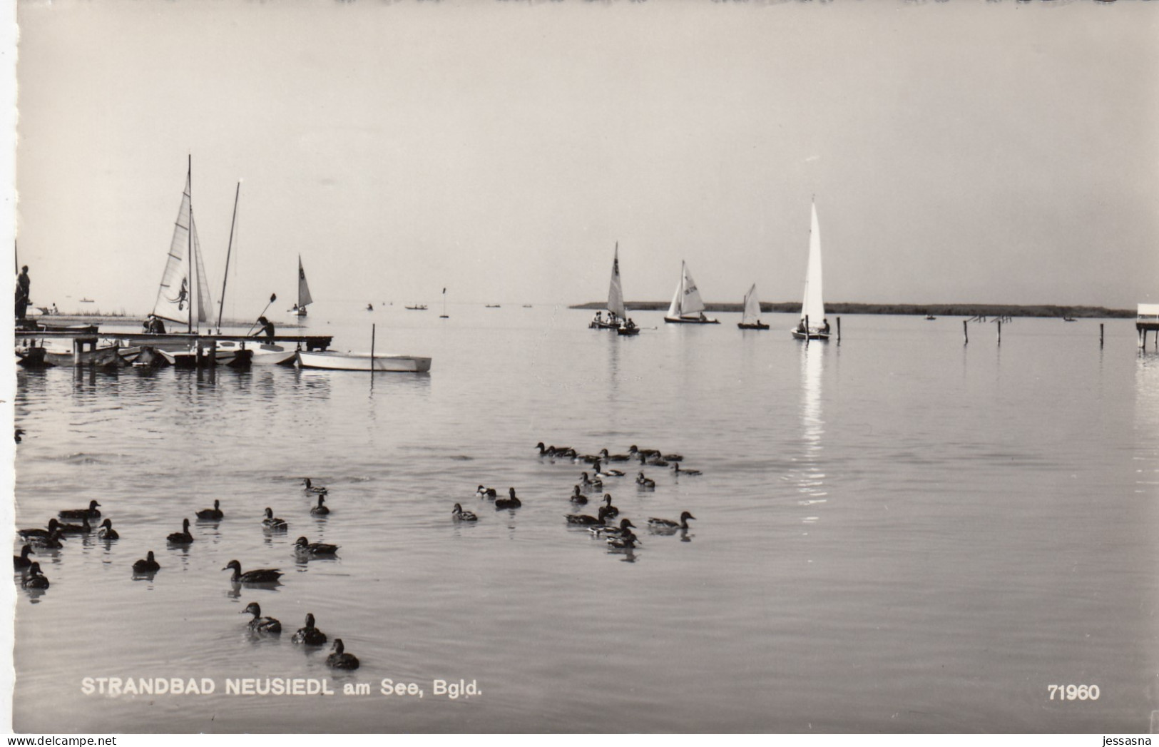 AK - Neusiedl Am See - Strandbad - 1955 - Neusiedlerseeorte