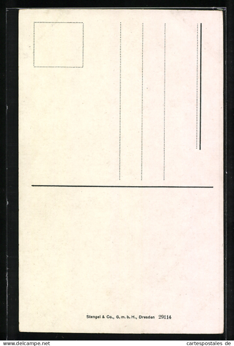 Künstler-AK Stengel & Co. Nr. 29114: Die Katzentanzstunde  - Sonstige & Ohne Zuordnung