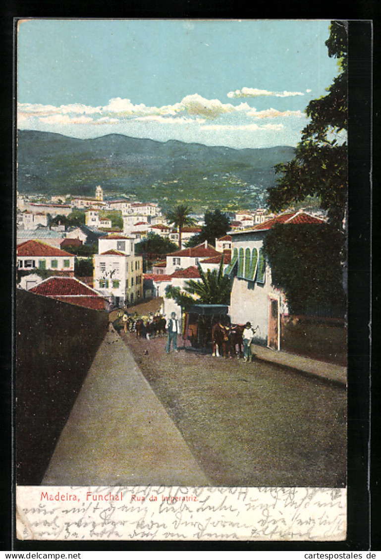 AK Funchal /Madeira, Rua Da Imperatriz  - Madeira