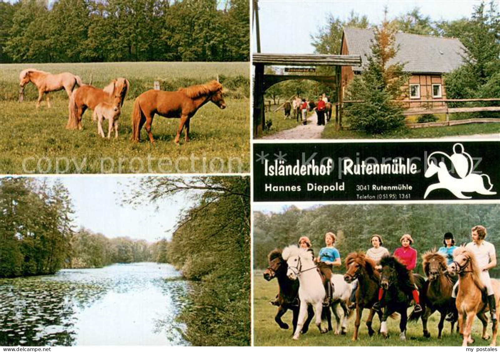 73725167 Rutenmuehle Islaenderhof Rutenmuehle Pferde Teilansichten Rutenmuehle - Other & Unclassified