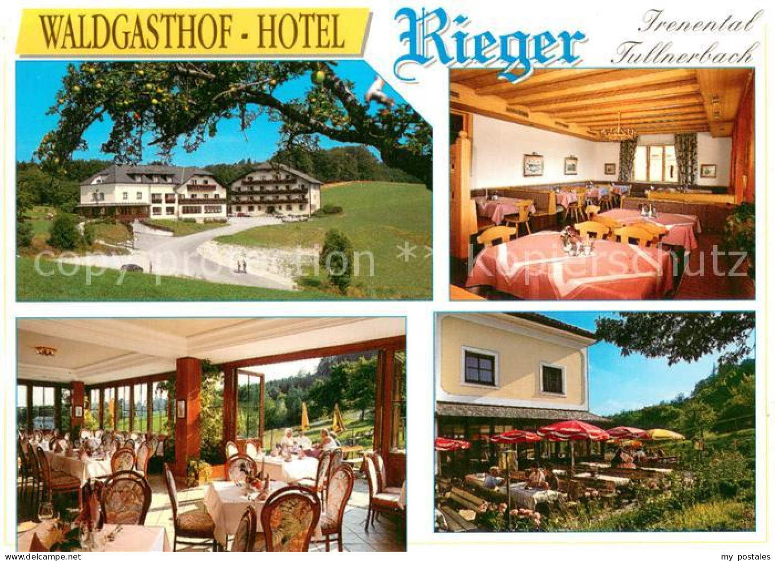 73725117 Tullnerbach Waldgasthof Hotel Rieger Gastraeume Terrasse Tullnerbach - Sonstige & Ohne Zuordnung
