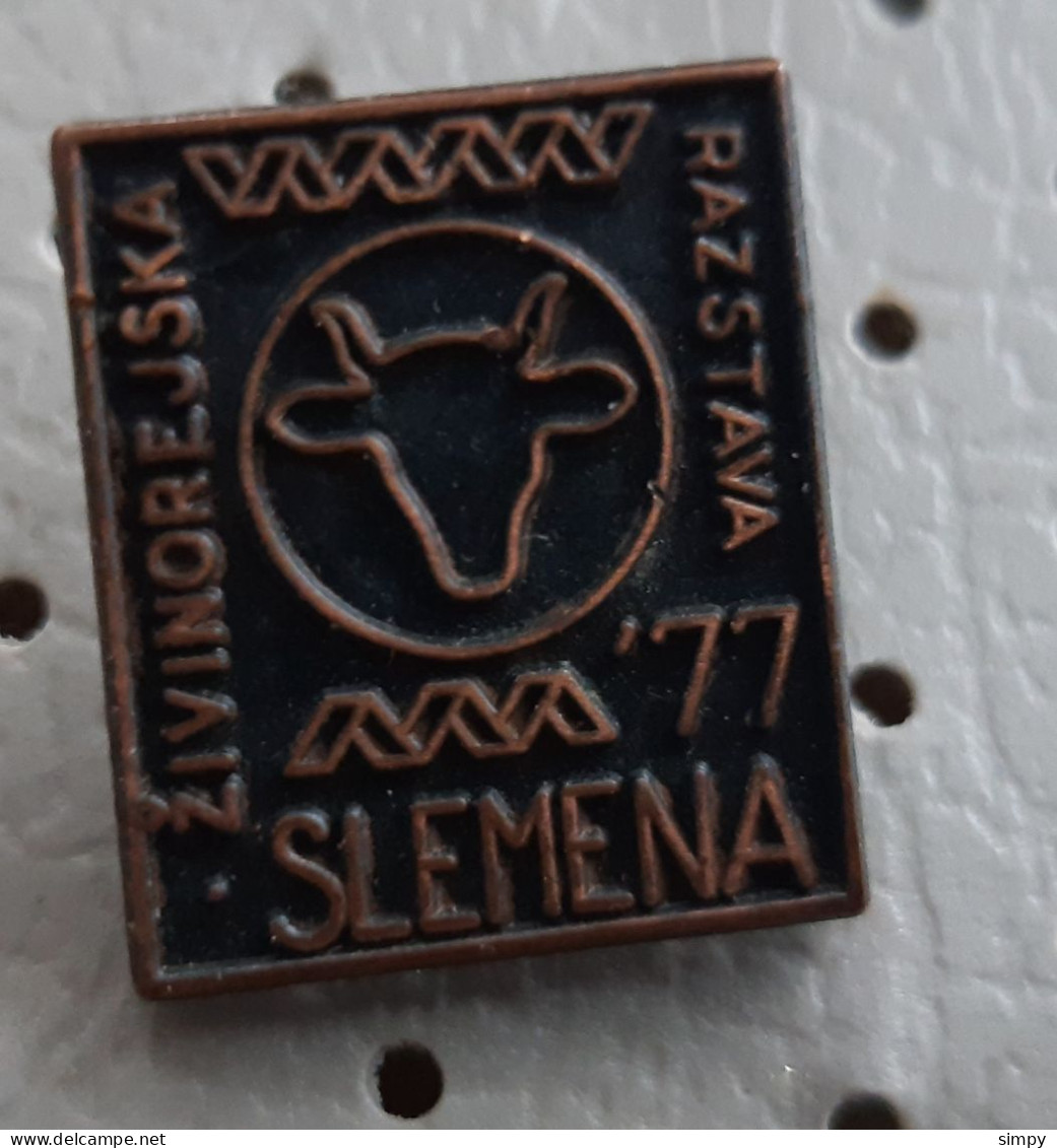 Cattle Cows Livestock Exhibition Slemena 1977 Slovenia Ex Yugoslavia Pin Cow - Animals