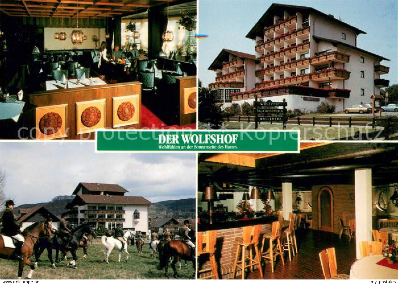 73725026 Wolfshagen Harz Hotel Wolfshof Restaurant Reitsport Wolfshagen Harz - Langelsheim