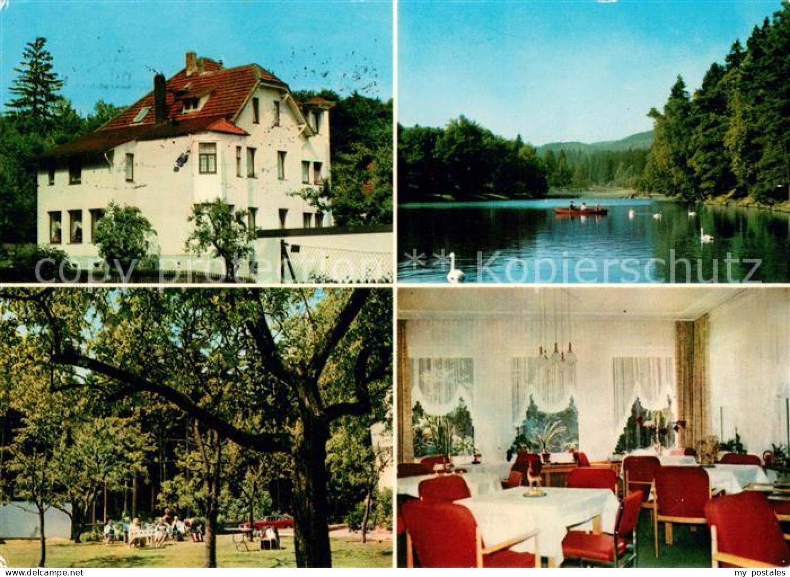 73724999 Bad Sachsa Harz Haus Tanneck Gaestehaus Pension Partie Am See Bad Sachs - Bad Sachsa