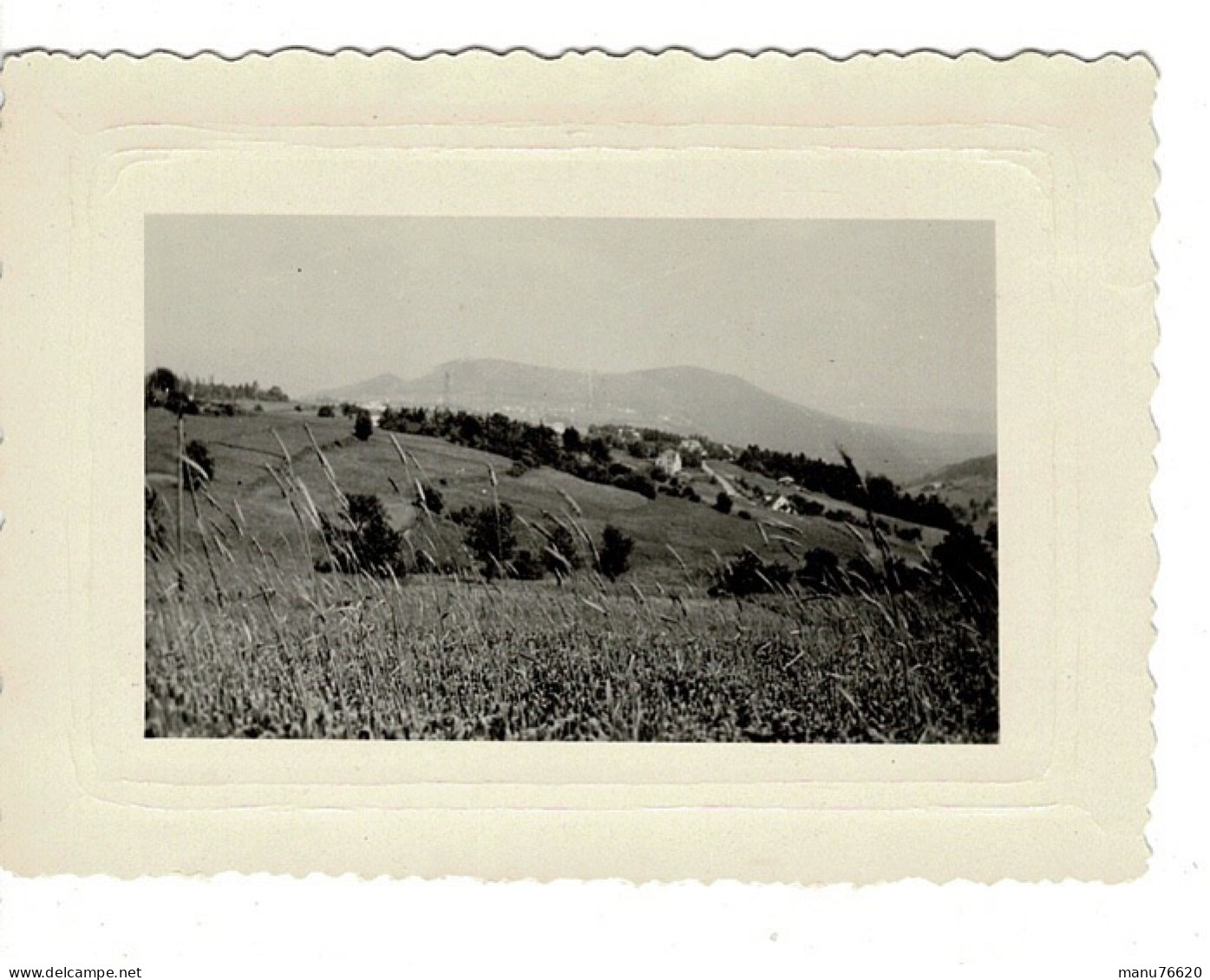 Ref 1 - Photo : Labaroche , Panorama Du Grand Hohnack , Alsace  - France . - Europa