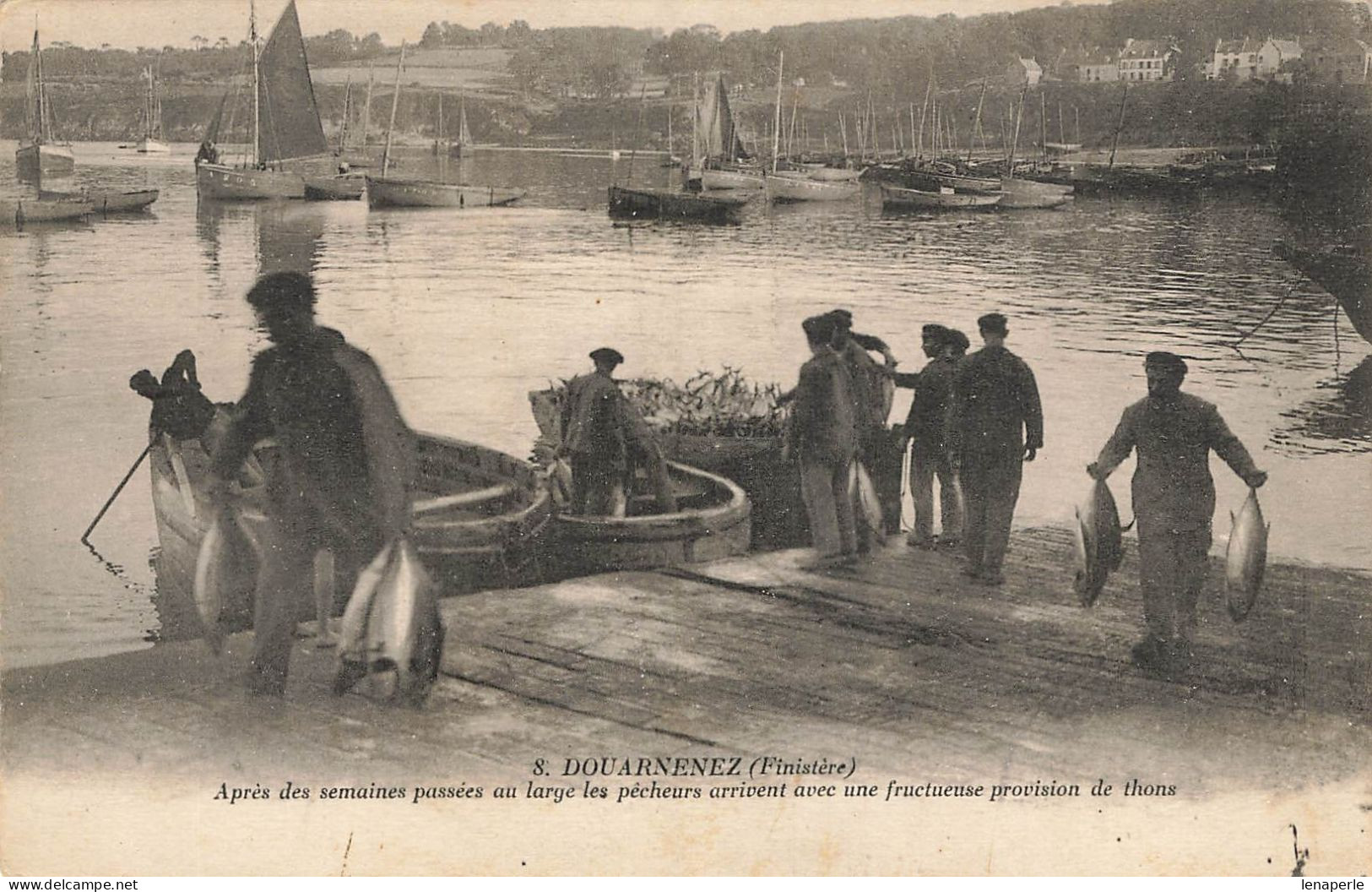 D8241 Douarnenez L'arrivée Des Pécheurs De Thons - Douarnenez