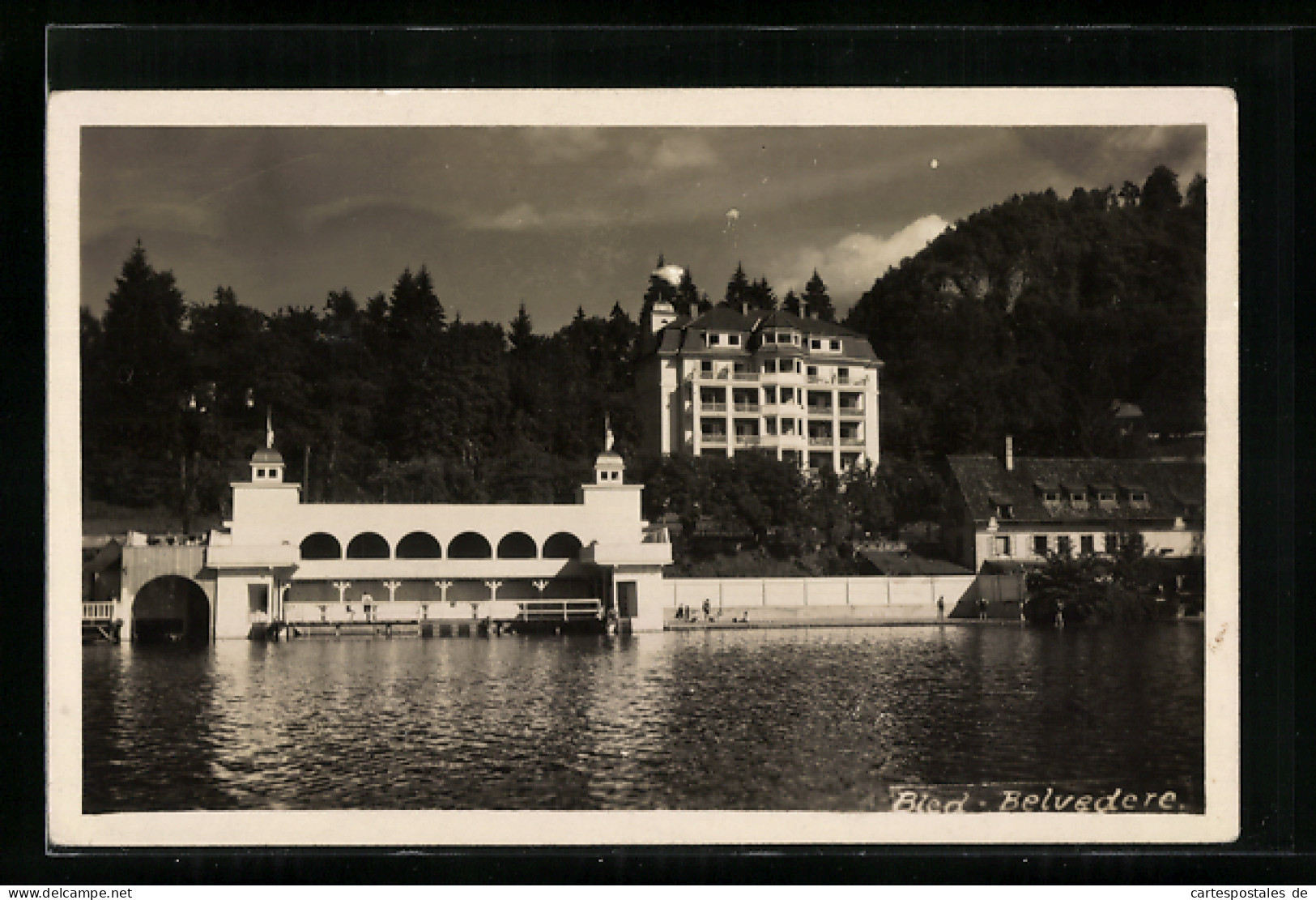 AK Bled, Belvedere  - Slovenia