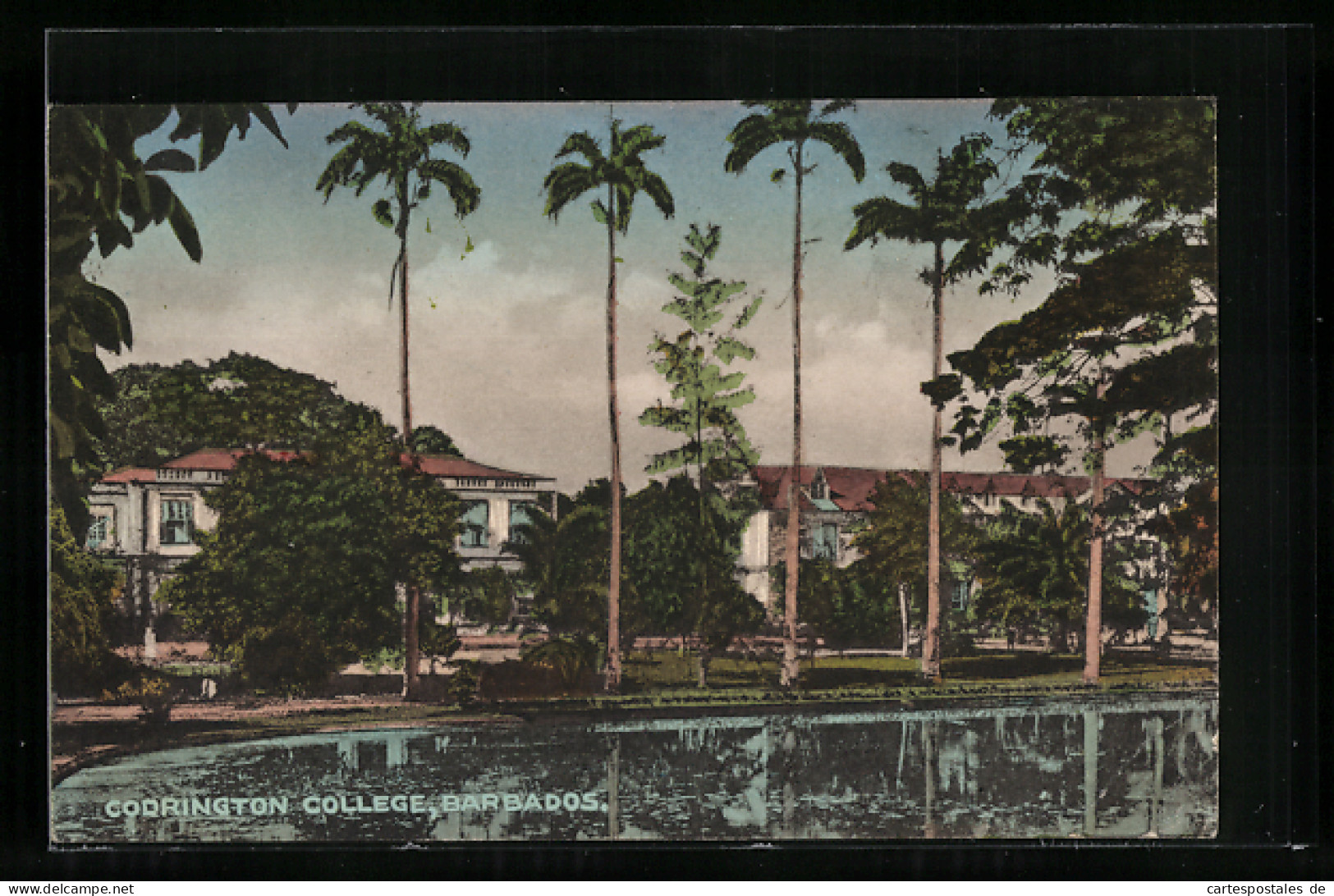 AK Barbados, Codrington College  - Autres & Non Classés