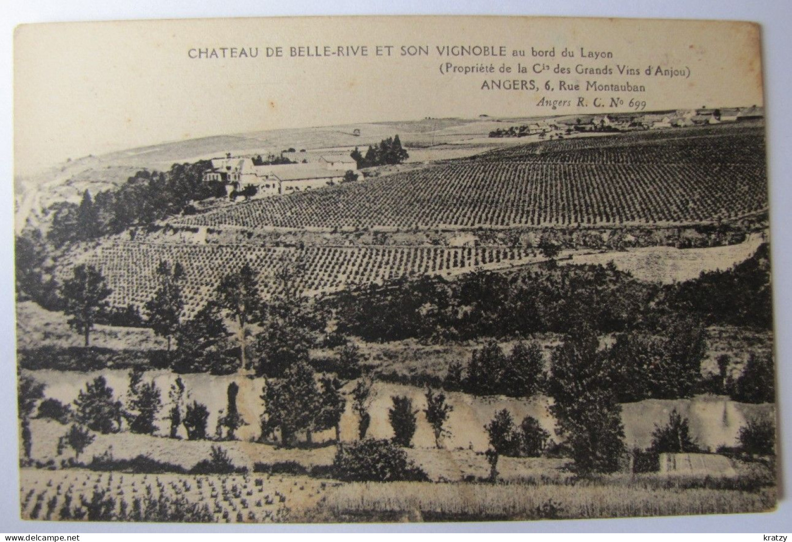 FRANCE - MAINE ET LOIRE - ROCHEFORT-sur-LOIRE - Le Château De Belle Rive Et Son Vignoble - Autres & Non Classés