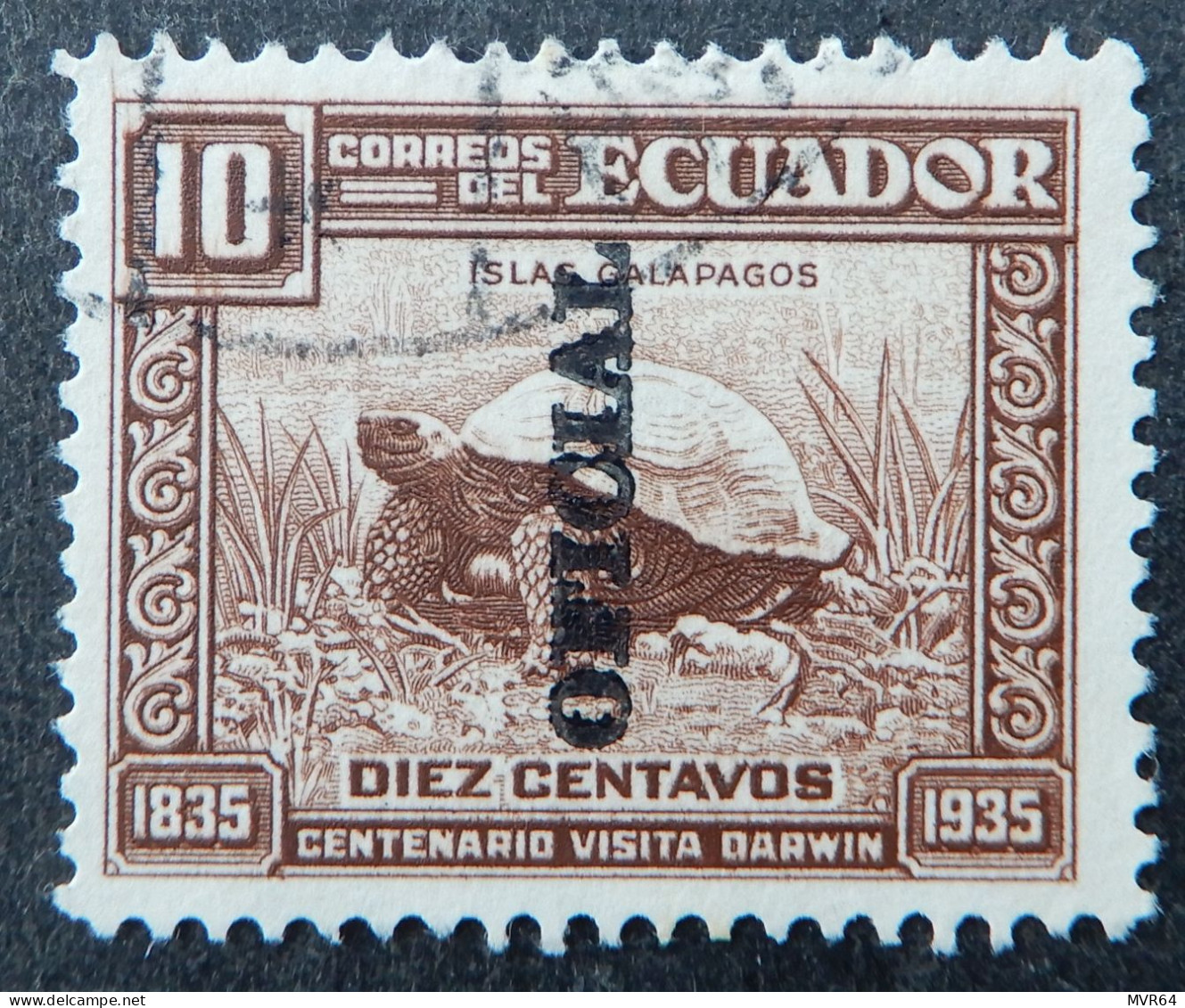 Ecuador 1936 (2) Chelonoidis Nigra Overprinted - Equateur