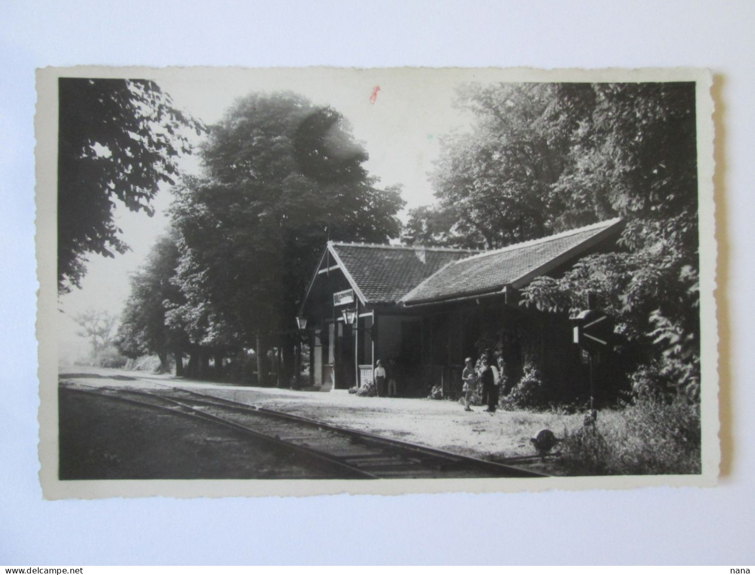 Romania-Băile Episcopia:Gara/Railway Station/Gare/Bahnhof 1936 Mailed Photo Postcard - Rumänien