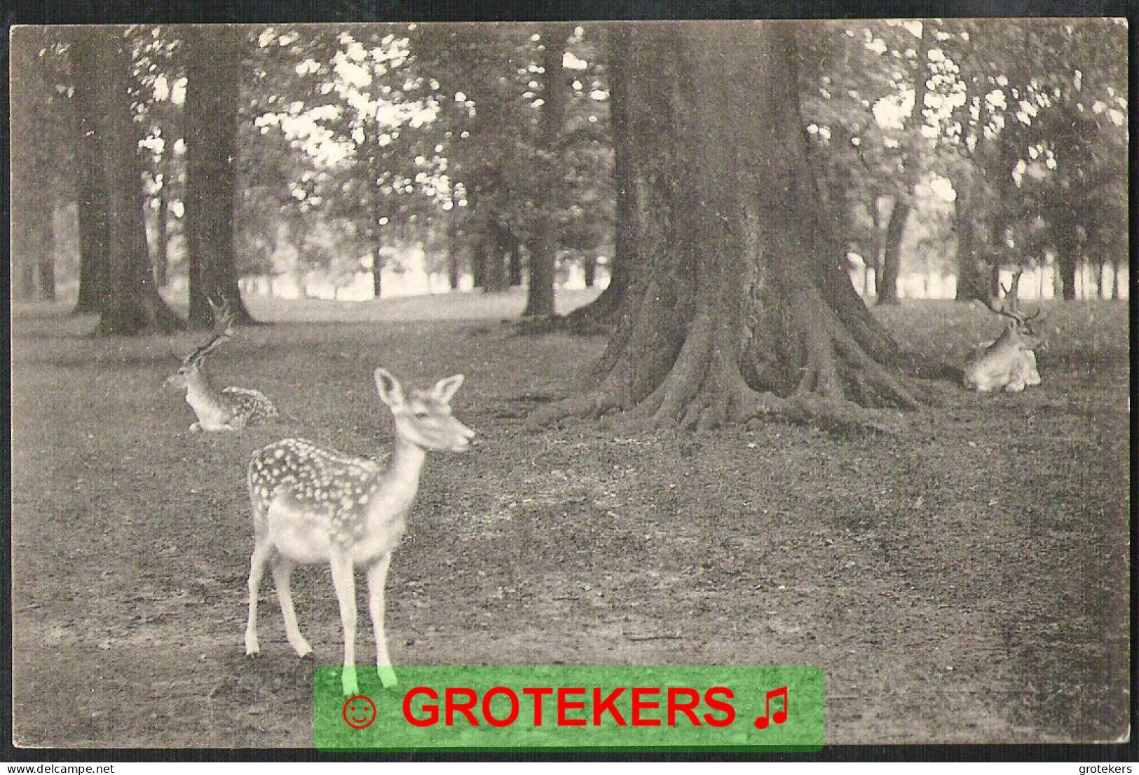 DEN HAAG Hertenkamp Ca 1910 - Den Haag ('s-Gravenhage)