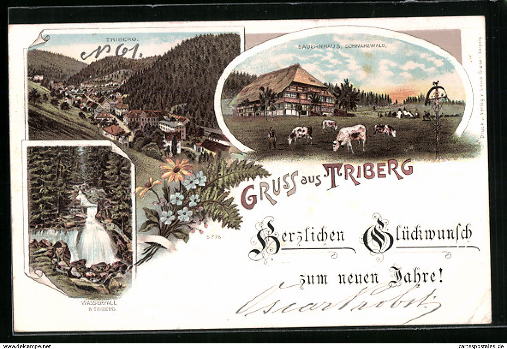 Lithographie Triberg / Schwarzwald, Bauernhaus, Wasserfall, Teilansicht  - Triberg