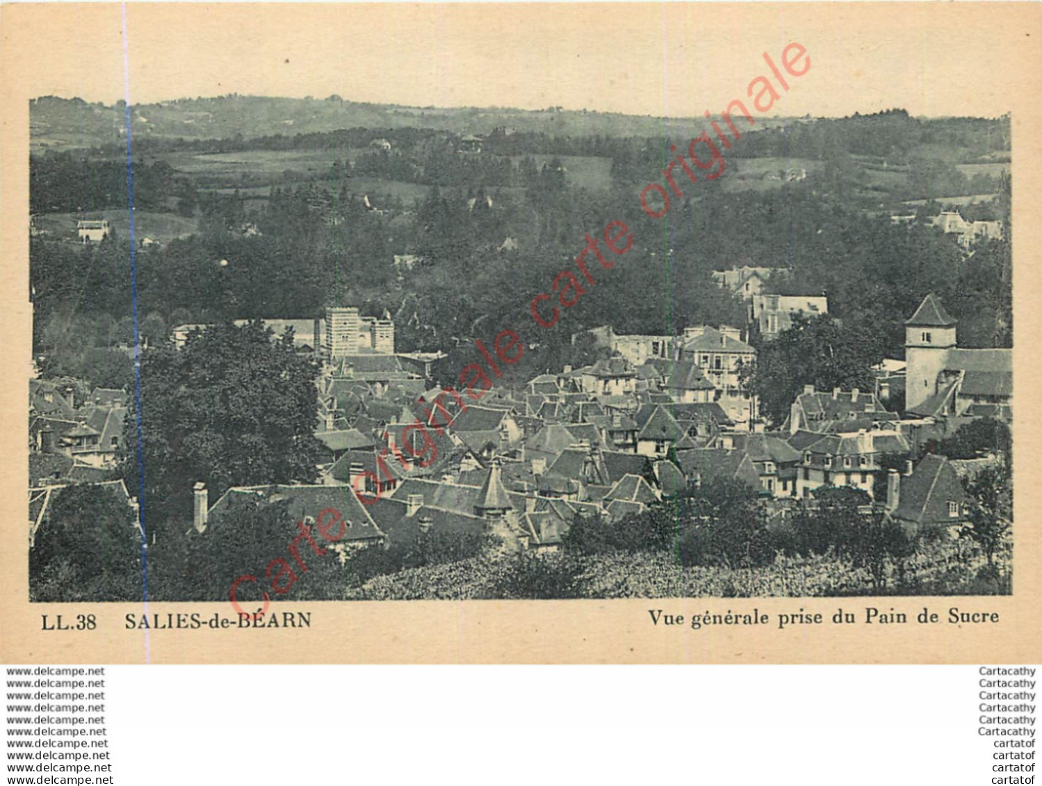 64.  SALIES DE BEARN . Vue Générale Prise Du Pain De Sucre . - Salies De Bearn