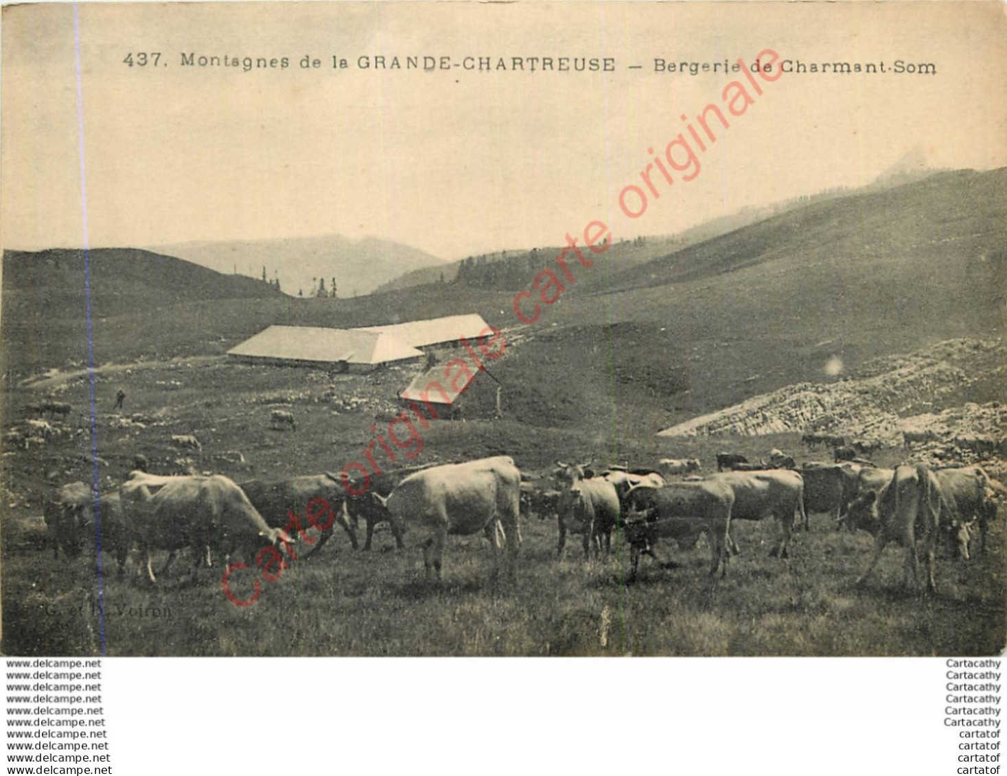 38.  Bergerie De CHARMANT SOM .  Montagnes De La GRANDE CHARTREUSE . - Chartreuse
