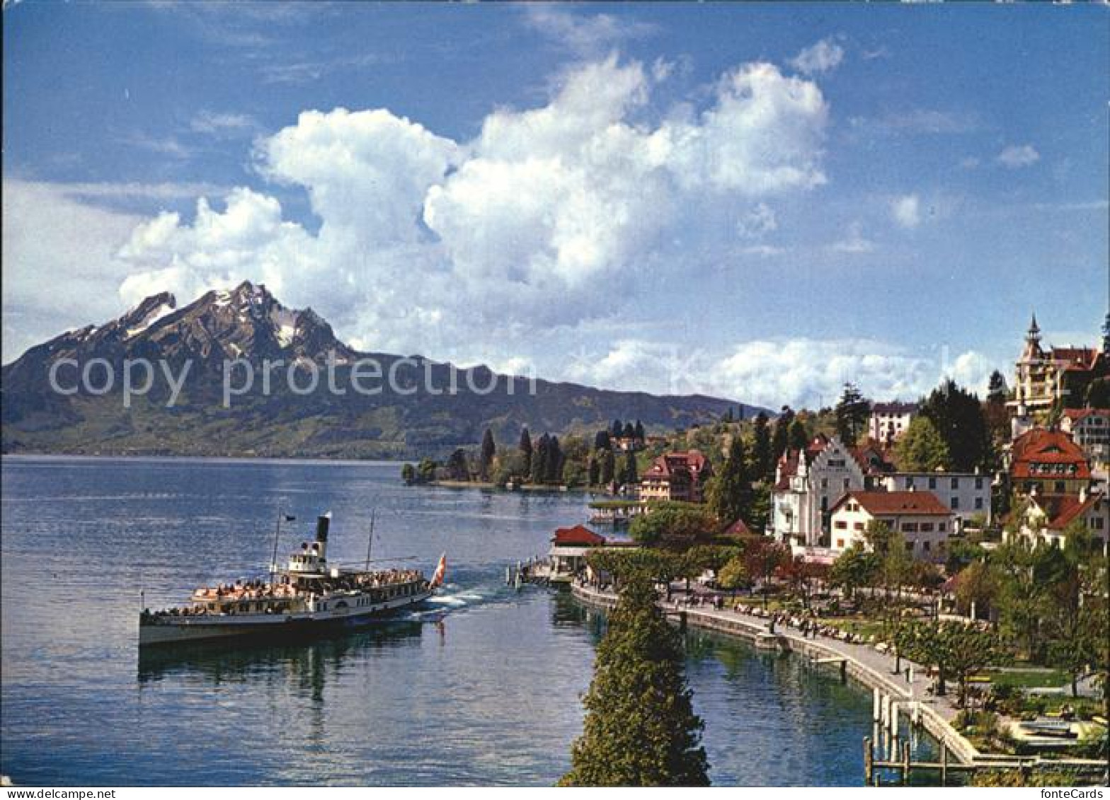 12439334 Weggis Vierwaldstaettersee Uferpromenade Vierwaldstaettersee Dampfer Pi - Sonstige & Ohne Zuordnung