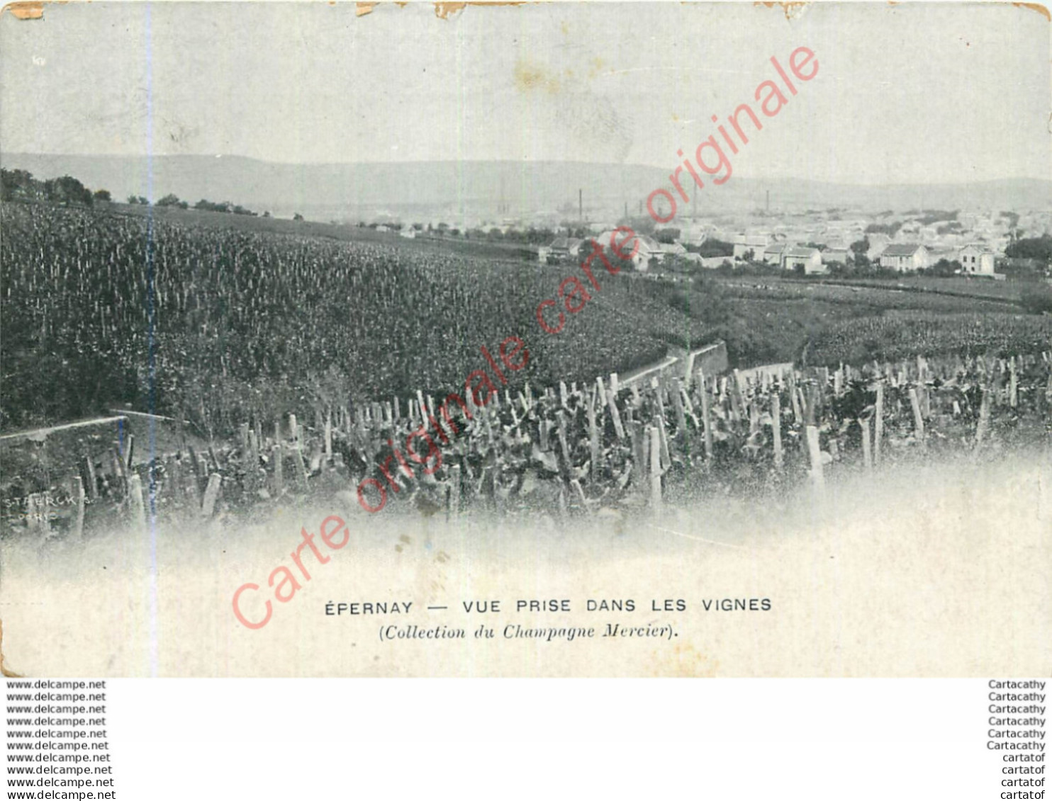51.  EPERNAY .  Vue Prise Dans Les Vignes . Collection Champagne MERCIER . - Epernay