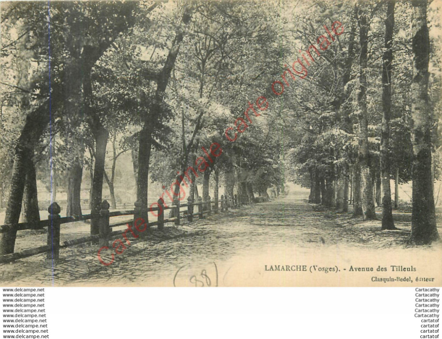 88.  LAMARCHE .  Avenue Des Tilleuls . - Lamarche