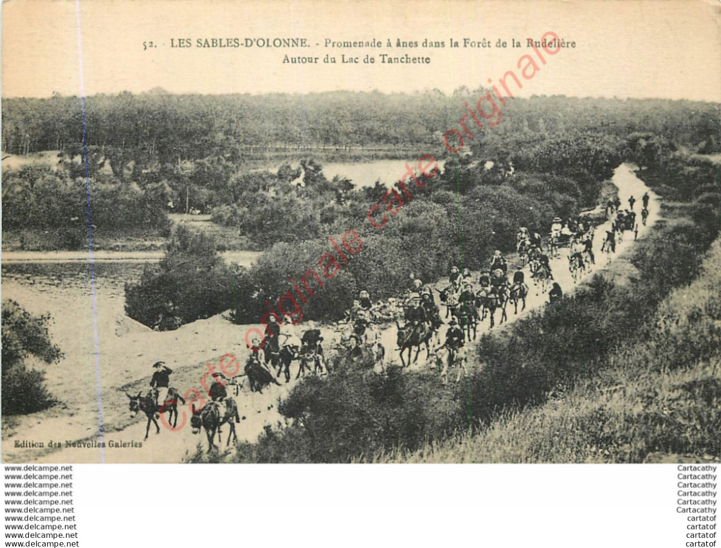85.  LES SABLES D'OLONNE .  Promenade à ânes Dans La Forêt De La Rudelière . Autour Du Lac De Tanchette . - Sables D'Olonne