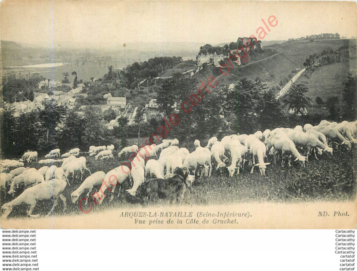 76.  ARQUES LA BATAILLE .  Vue Prise De La Côte De Gruchet . - Arques-la-Bataille